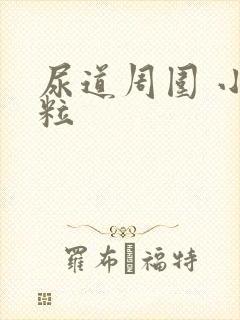 尿道周围 小肉粒