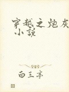 穿越之炮灰男配 小说
