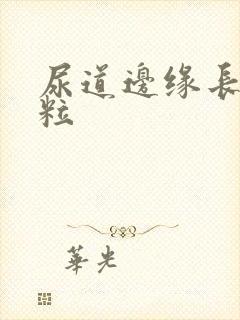 尿道边缘长小肉粒