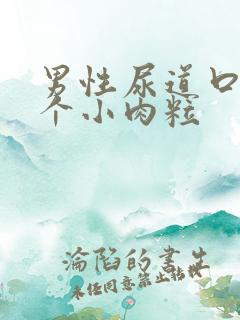 男性尿道口有一个小肉粒