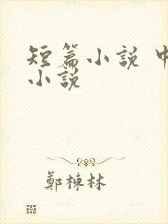 短篇小说 中篇小说