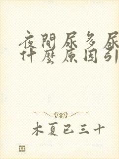 夜间尿多尿频是什么原因引起的男