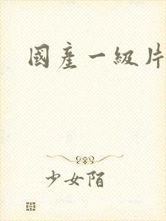 国产一级片黄色