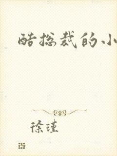 酷总裁的小女佣