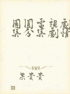 团圆电视剧40集分集剧情介绍