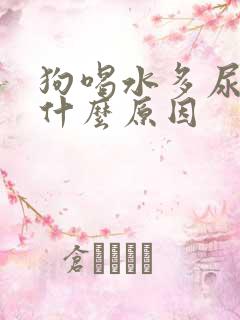 狗喝水多尿多是什么原因