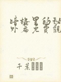 暗格里的秘密番外篇免费观看