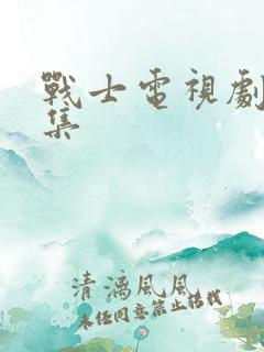 战士电视剧28集