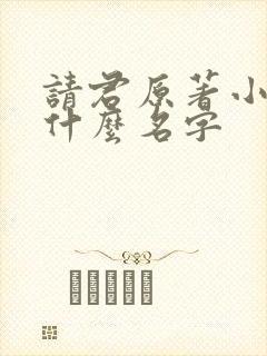 请君原著小说叫什么名字