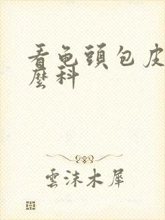 看龟头包皮挂什么科