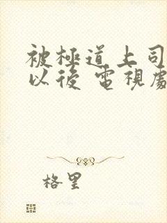 被极道上司爱上以后 电视剧 在线观看