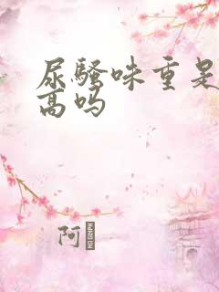 尿骚味重是尿酸高吗