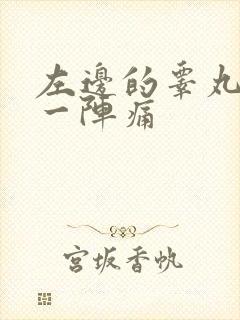 左边的睾丸一阵一阵痛