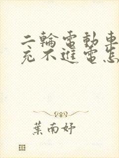 二轮电动车电瓶充不进电怎么解决