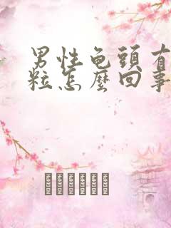 男性龟头有小肉粒怎么回事