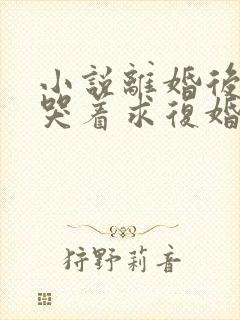 小说离婚后前夫哭着求复婚免费阅读