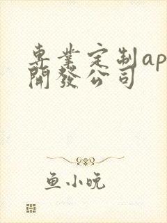 专业定制app开发公司