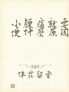 小腹痛就要拉大便什么原因