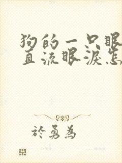 狗的一只眼睛一直流眼泪怎么回事