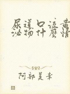 尿道口流黄色分泌物什么情况