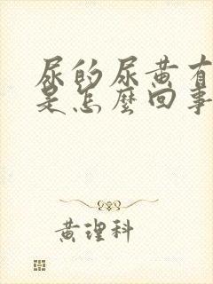 尿的尿黄有味道是怎么回事