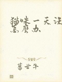 猫咪一天没有尿怎么办