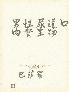 男性尿道口长小肉赘生物