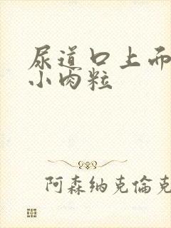 尿道口上面长了小肉粒