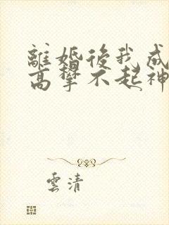 离婚后我成前妻高攀不起神