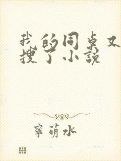 我的同桌又上热搜了小说