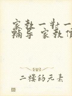 家教一对一上门辅导 家教价格