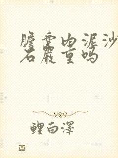 胆囊内泥沙状结石严重吗