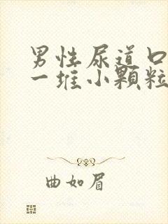 男性尿道口起了一堆小颗粒