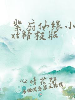 紫府仙缘小说txt精校版