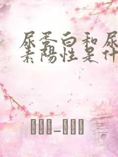 尿蛋白和尿胆红素阳性是什么意思