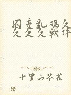 国产乱码久久久久久久软件