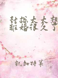 封总太太想和你离婚很久了容辞最后和谁一起