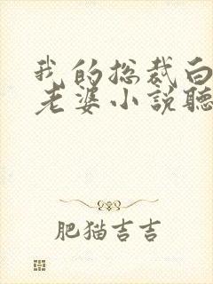 我的总裁白富美老婆小说听有声小说