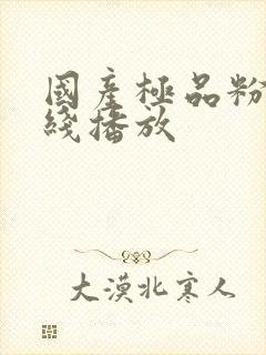 国产极品粉嫩在线播放