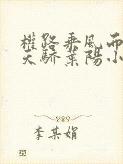 权路乘风而起化天骄叶阳小说最新章节