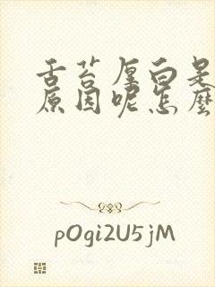 舌苔厚白是什么原因呢怎么调理