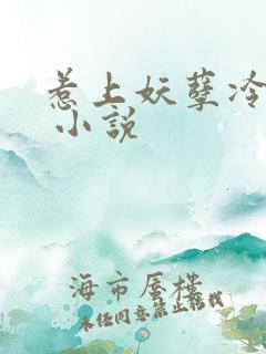 惹上妖孽冷殿下 小说