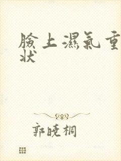 脸上湿气重的症状