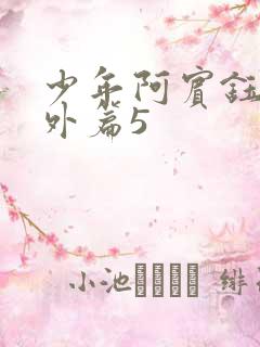 少年阿宾钰慧番外篇5