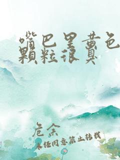 嘴巴里黄色的小颗粒很臭