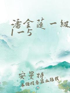 潘金莲一级淫片1一5