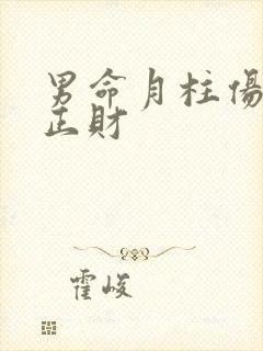 男命月柱伤官坐正财