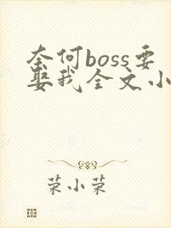 奈何boss要娶我全文小说阅读全文