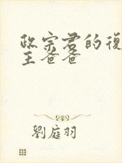 政宗君的复仇男主爸爸