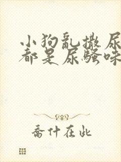 小狗乱撒尿房里都是尿骚味怎么办